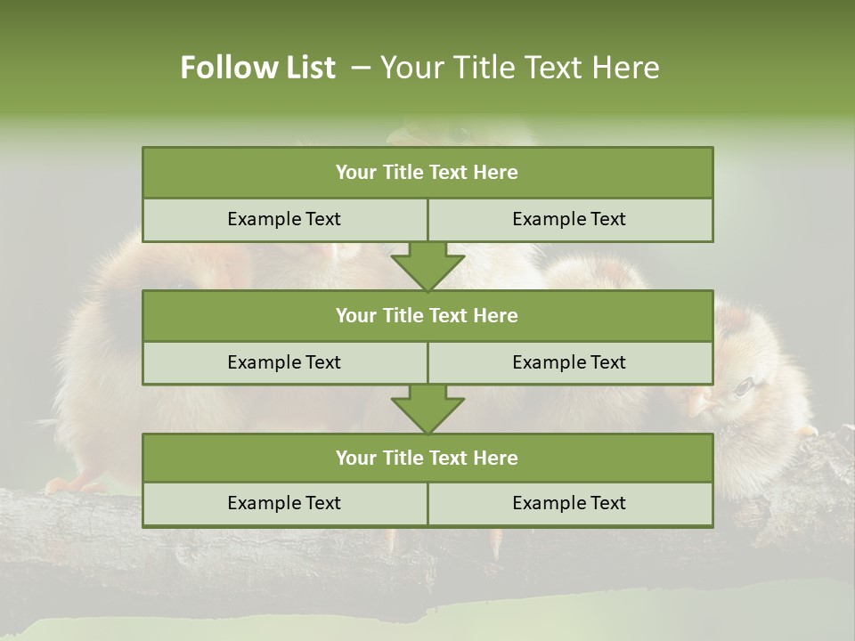 Babies Birds Birds On Tree Branch Newborns Chicks PowerPoint Template