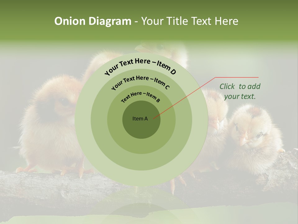 Babies Birds Birds On Tree Branch Newborns Chicks PowerPoint Template