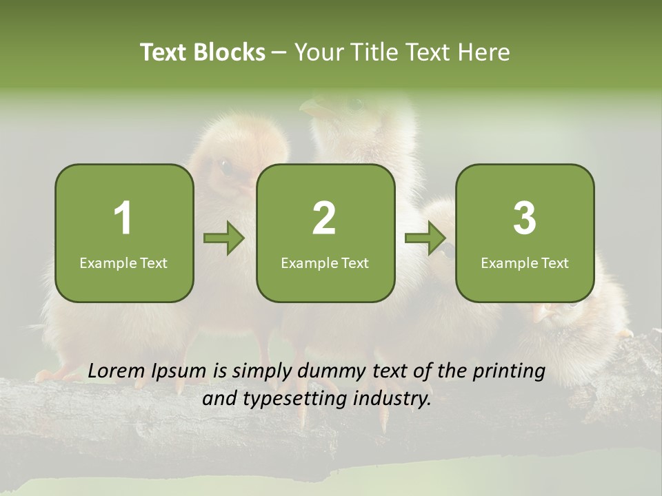 Babies Birds Birds On Tree Branch Newborns Chicks PowerPoint Template