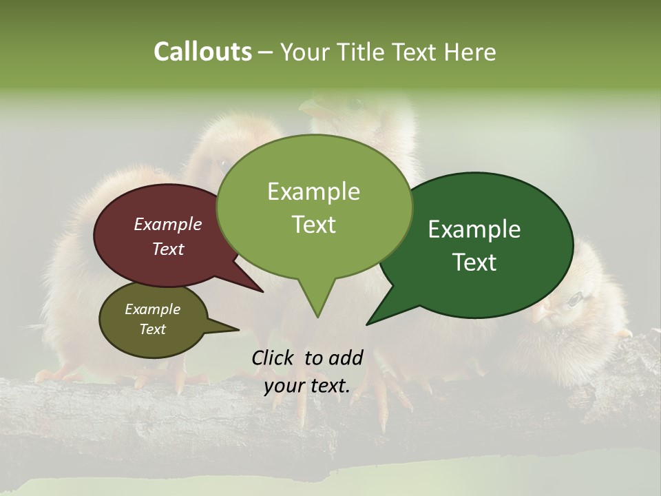 Babies Birds Birds On Tree Branch Newborns Chicks PowerPoint Template