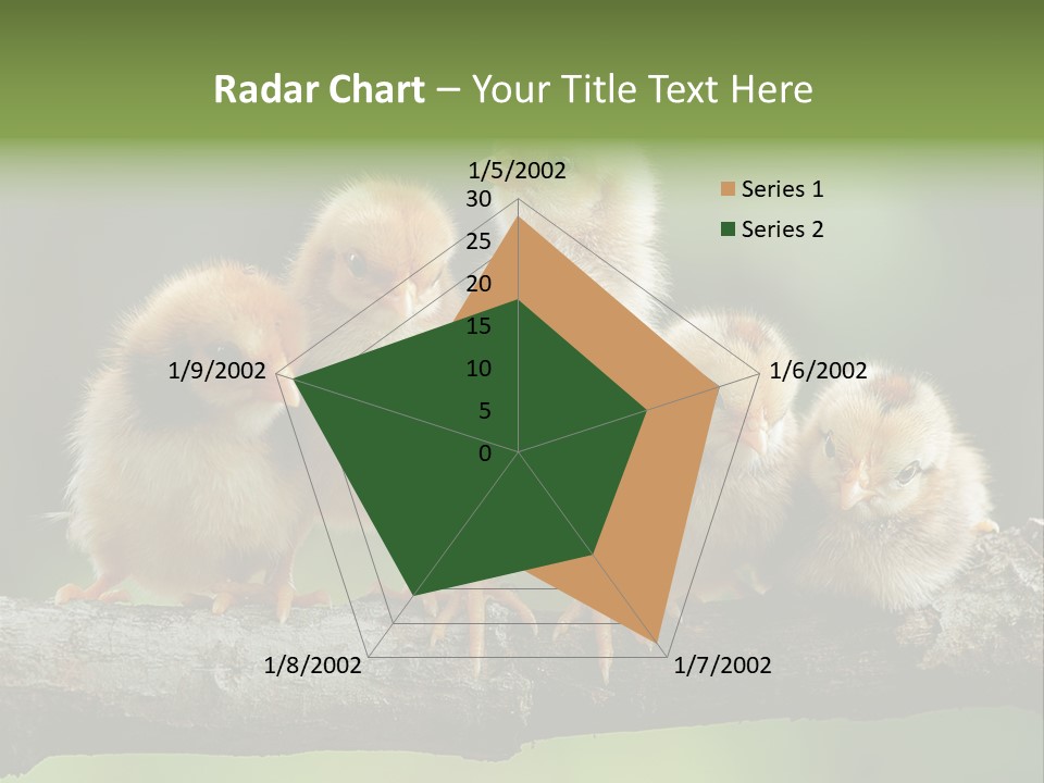 Babies Birds Birds On Tree Branch Newborns Chicks PowerPoint Template