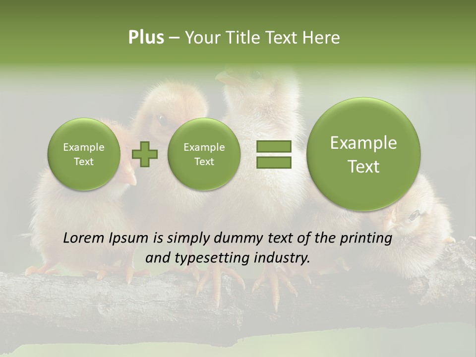 Babies Birds Birds On Tree Branch Newborns Chicks PowerPoint Template