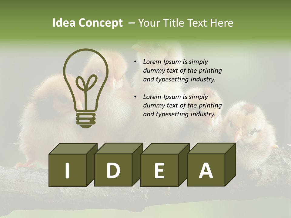 Babies Birds Birds On Tree Branch Newborns Chicks PowerPoint Template