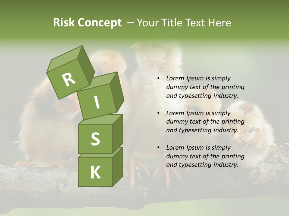 Babies Birds Birds On Tree Branch Newborns Chicks PowerPoint Template