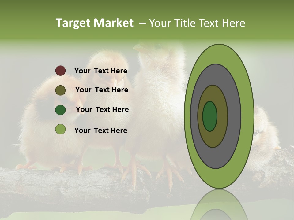 Babies Birds Birds On Tree Branch Newborns Chicks PowerPoint Template