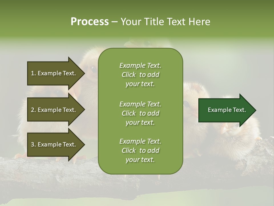Babies Birds Birds On Tree Branch Newborns Chicks PowerPoint Template