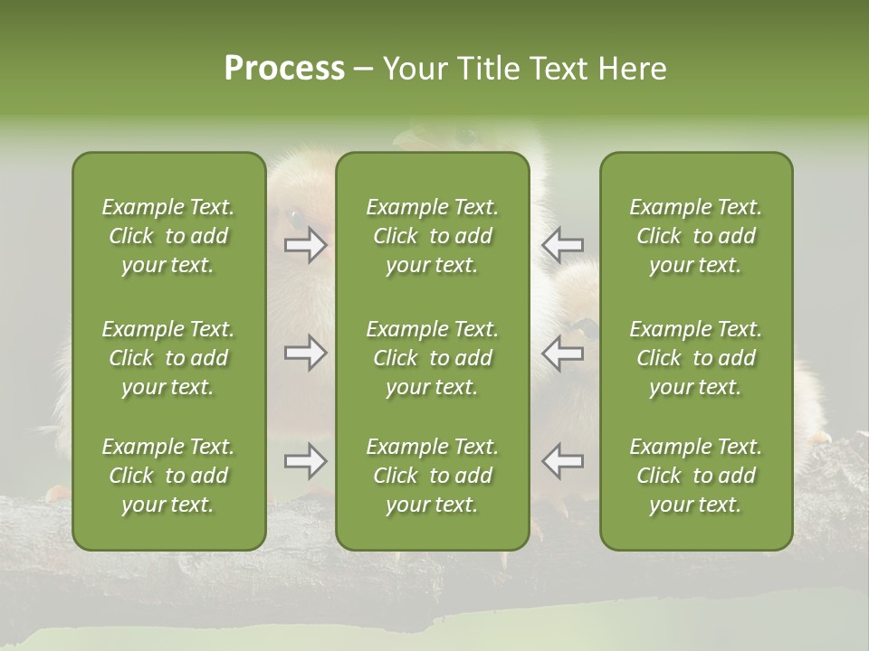 Babies Birds Birds On Tree Branch Newborns Chicks PowerPoint Template