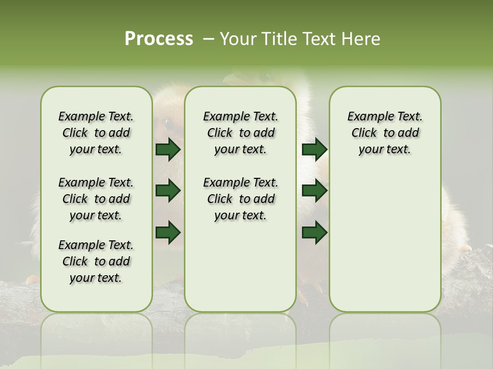Babies Birds Birds On Tree Branch Newborns Chicks PowerPoint Template