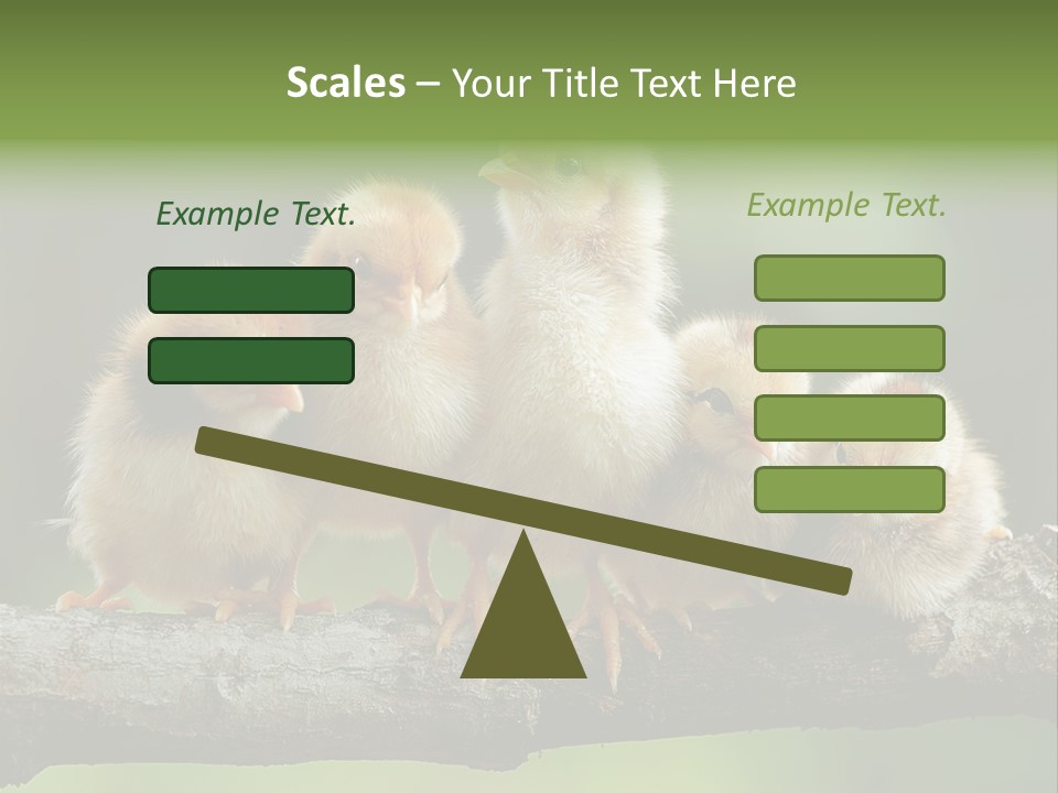 Babies Birds Birds On Tree Branch Newborns Chicks PowerPoint Template