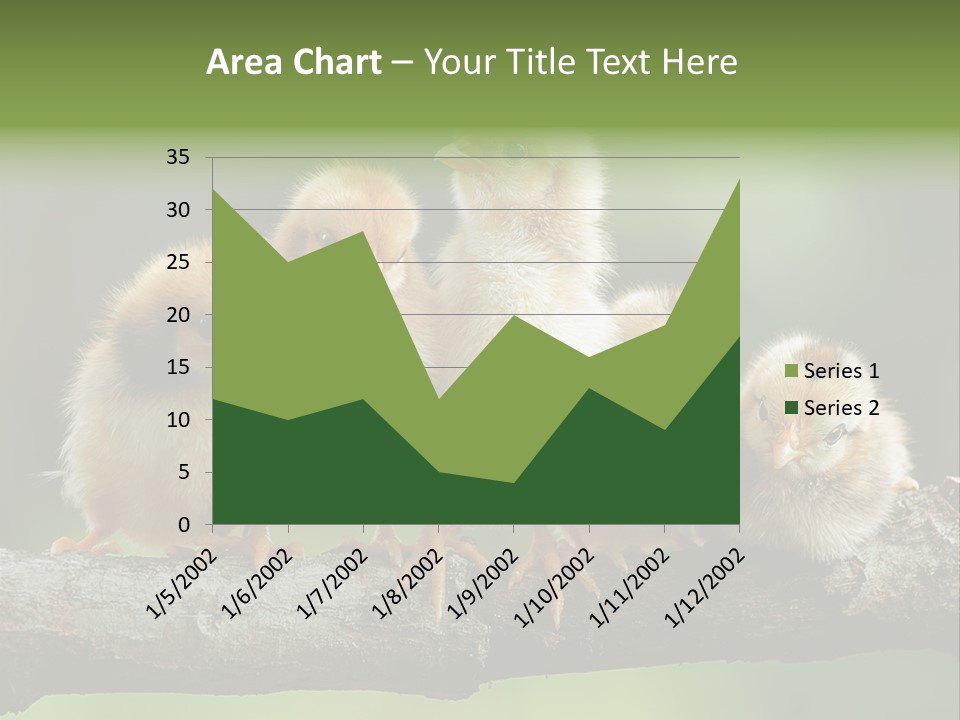 Babies Birds Birds On Tree Branch Newborns Chicks PowerPoint Template