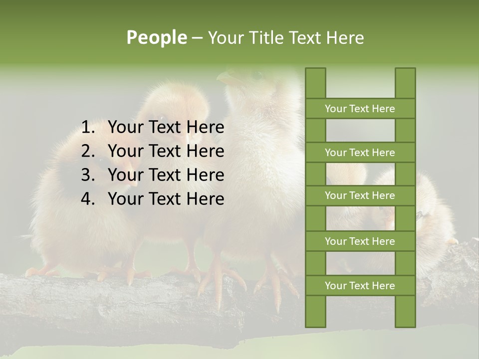 Babies Birds Birds On Tree Branch Newborns Chicks PowerPoint Template