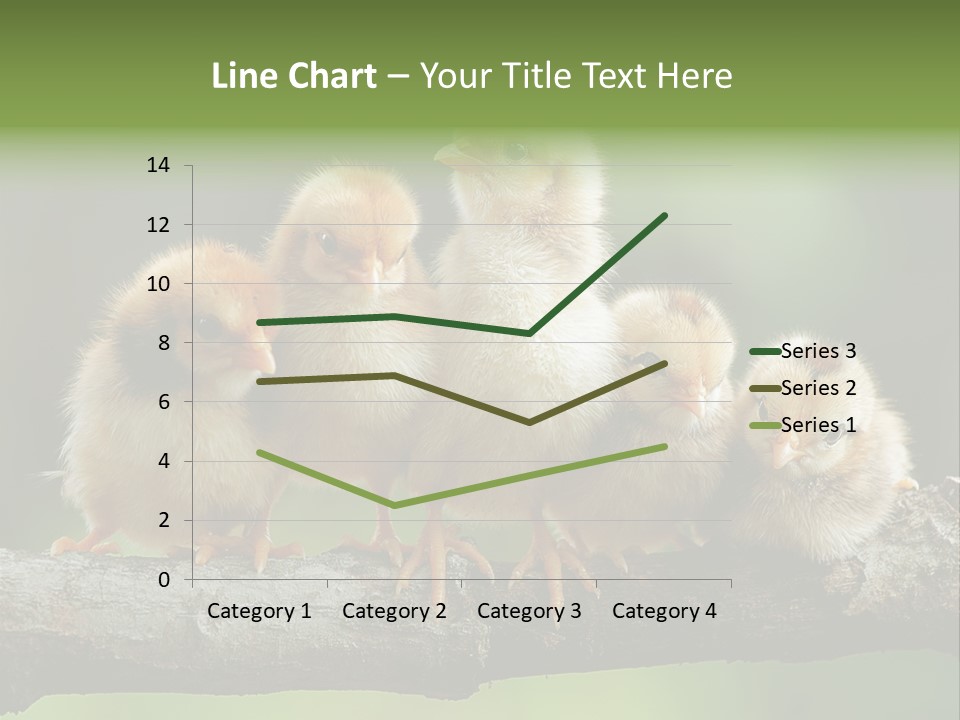 Babies Birds Birds On Tree Branch Newborns Chicks PowerPoint Template