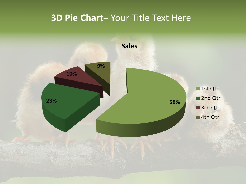 Babies Birds Birds On Tree Branch Newborns Chicks PowerPoint Template