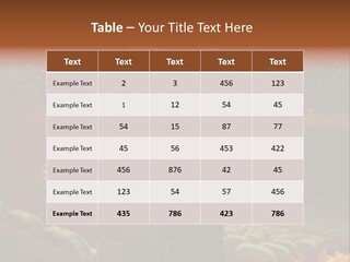 Couple Indoors Theatrical PowerPoint Template