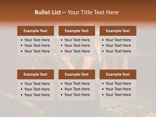 Couple Indoors Theatrical PowerPoint Template