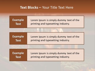 Couple Indoors Theatrical PowerPoint Template