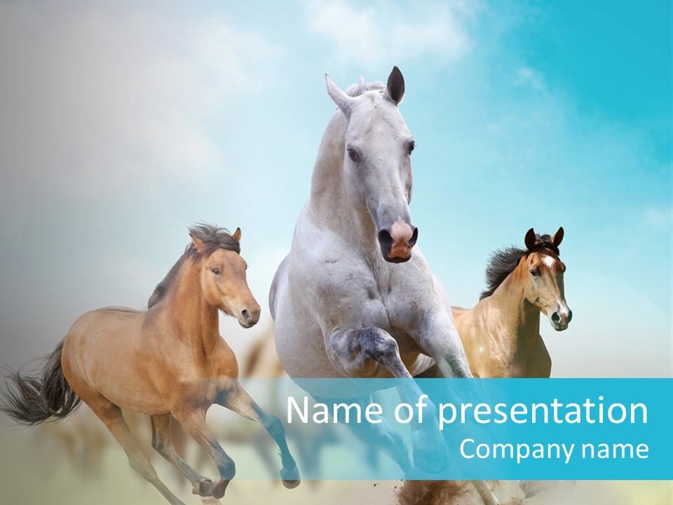 Sky Free Mustang PowerPoint Template