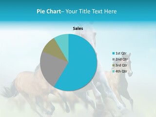 Sky Free Mustang PowerPoint Template