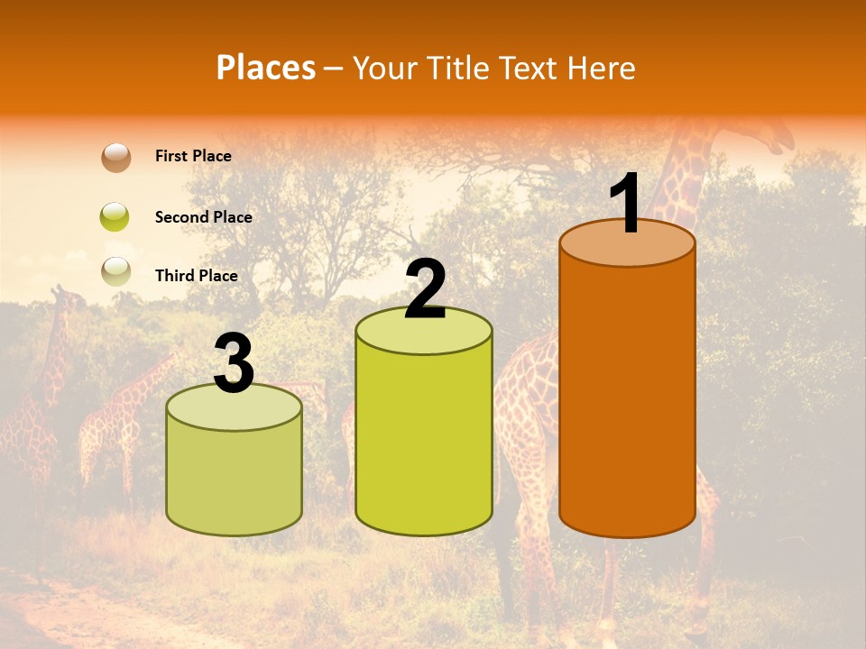 Tourism Grass Kruger PowerPoint Template