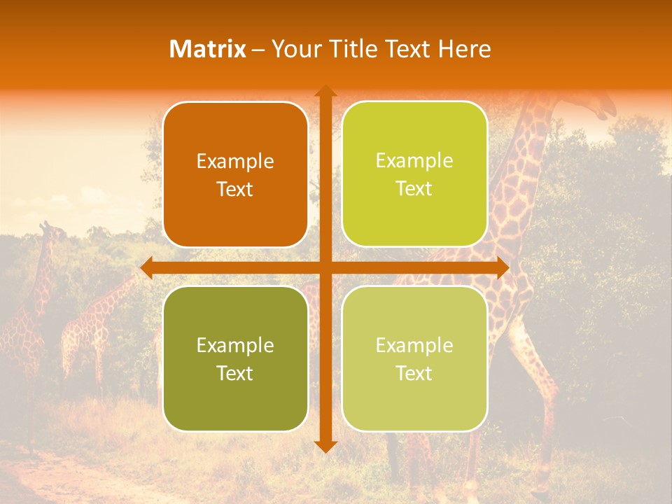 Tourism Grass Kruger PowerPoint Template