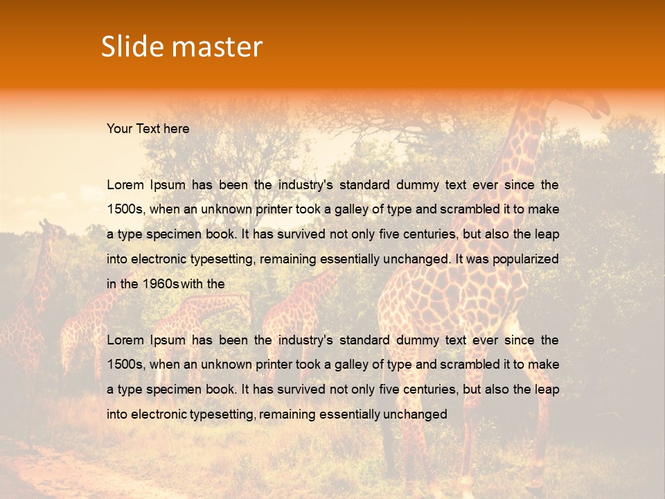 Tourism Grass Kruger PowerPoint Template