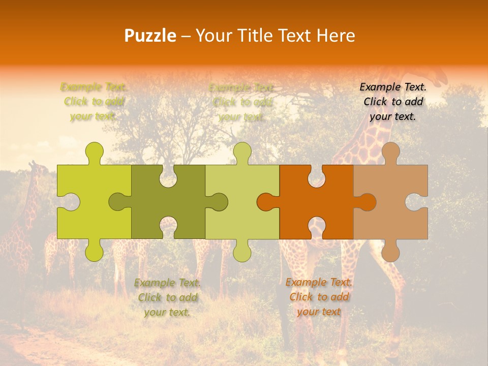 Tourism Grass Kruger PowerPoint Template