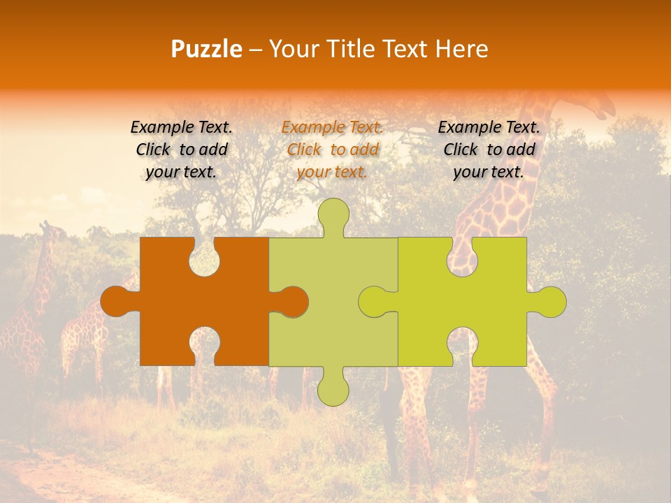 Tourism Grass Kruger PowerPoint Template