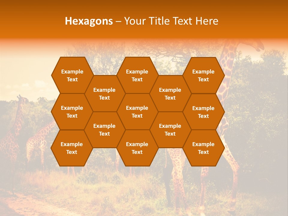 Tourism Grass Kruger PowerPoint Template