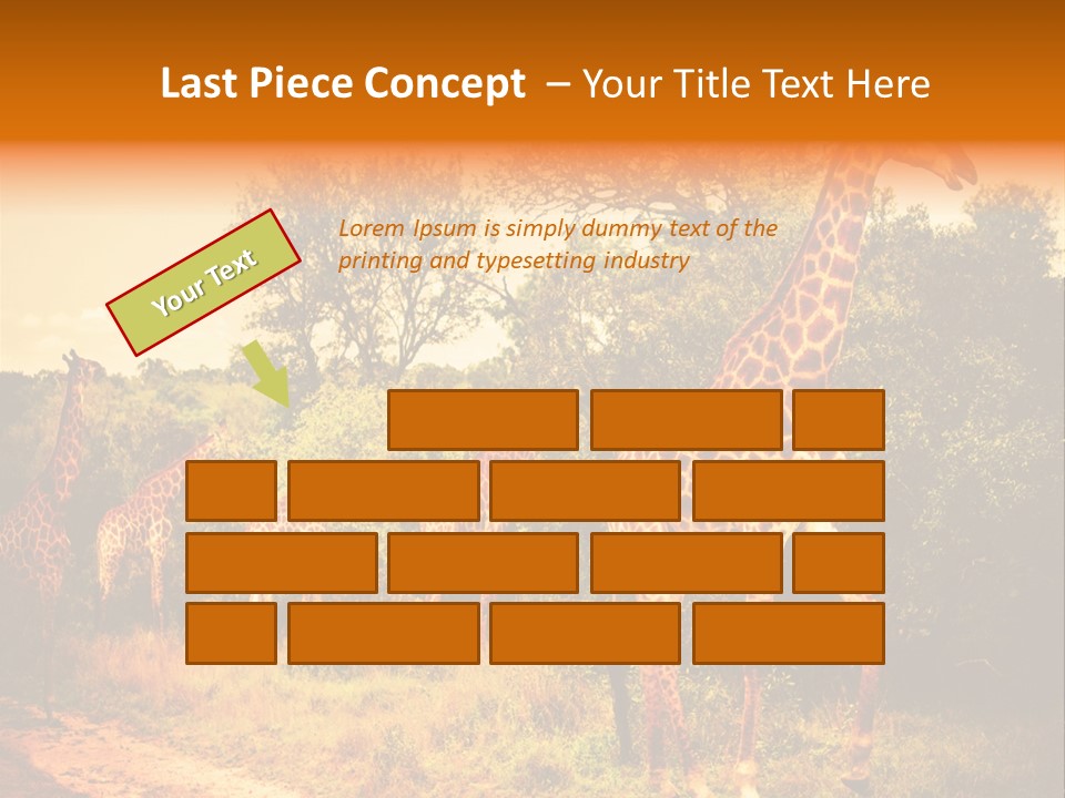 Tourism Grass Kruger PowerPoint Template