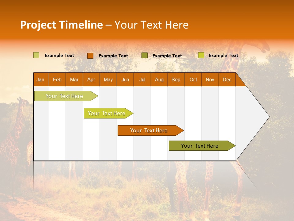 Tourism Grass Kruger PowerPoint Template