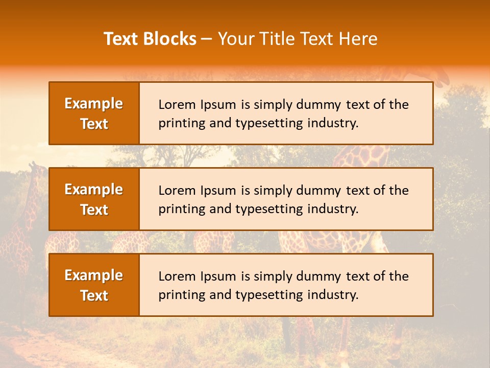 Tourism Grass Kruger PowerPoint Template