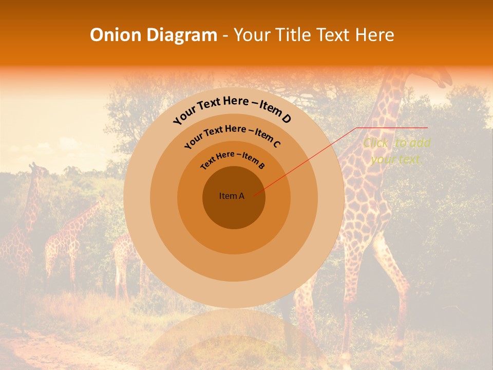Tourism Grass Kruger PowerPoint Template