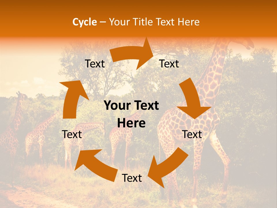 Tourism Grass Kruger PowerPoint Template