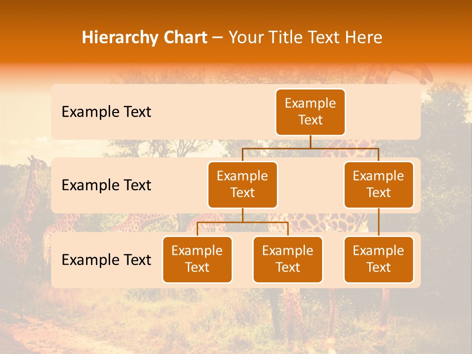 Tourism Grass Kruger PowerPoint Template