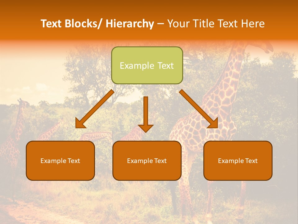 Tourism Grass Kruger PowerPoint Template