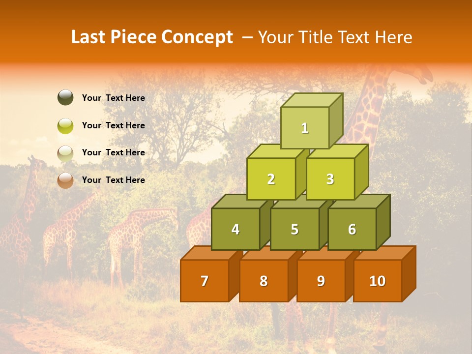 Tourism Grass Kruger PowerPoint Template