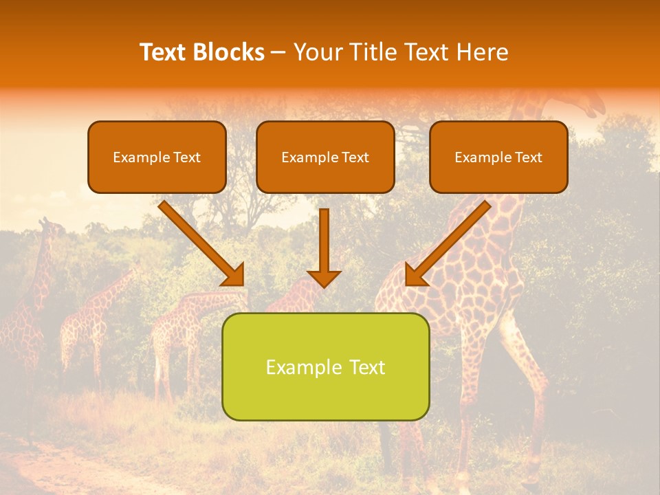Tourism Grass Kruger PowerPoint Template
