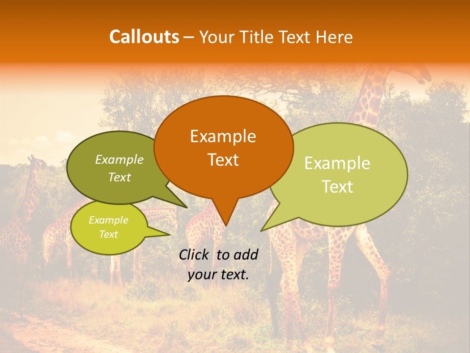 Tourism Grass Kruger PowerPoint Template