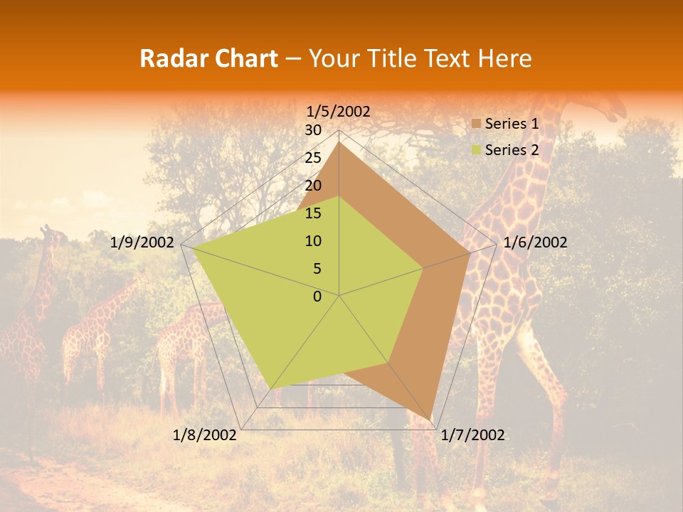 Tourism Grass Kruger PowerPoint Template