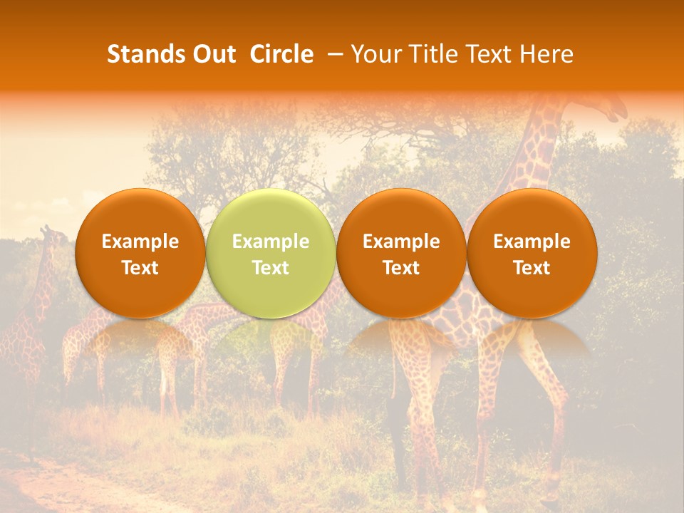 Tourism Grass Kruger PowerPoint Template