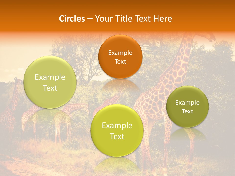 Tourism Grass Kruger PowerPoint Template