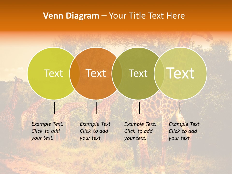 Tourism Grass Kruger PowerPoint Template