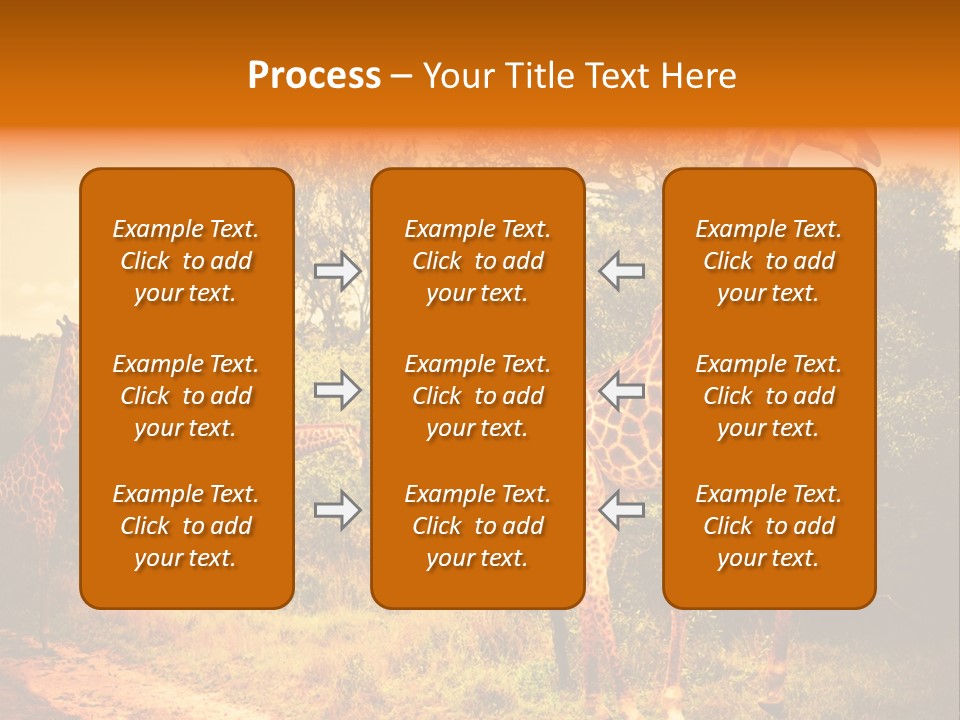 Tourism Grass Kruger PowerPoint Template