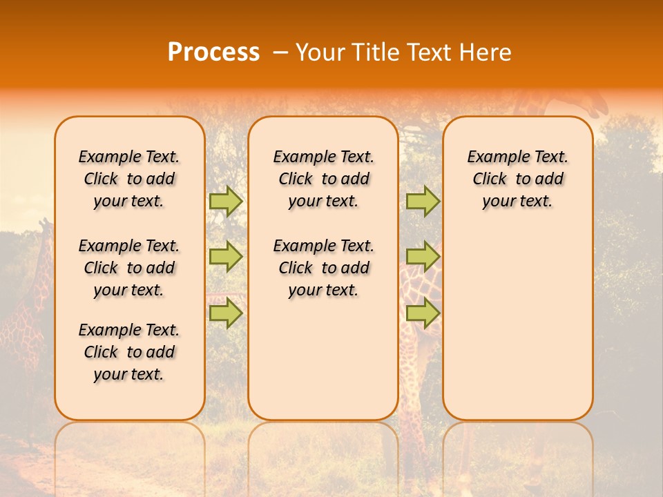 Tourism Grass Kruger PowerPoint Template