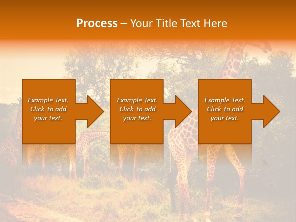 Tourism Grass Kruger PowerPoint Template