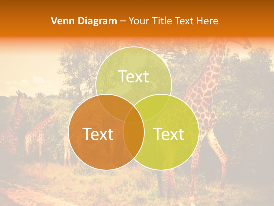 Tourism Grass Kruger PowerPoint Template
