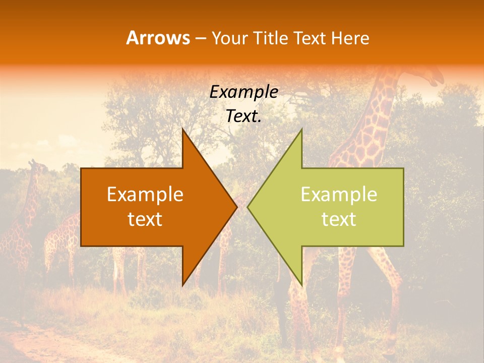 Tourism Grass Kruger PowerPoint Template