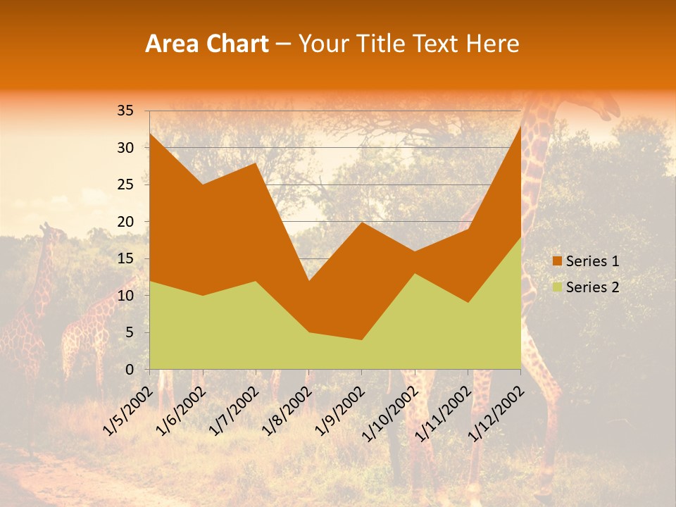 Tourism Grass Kruger PowerPoint Template