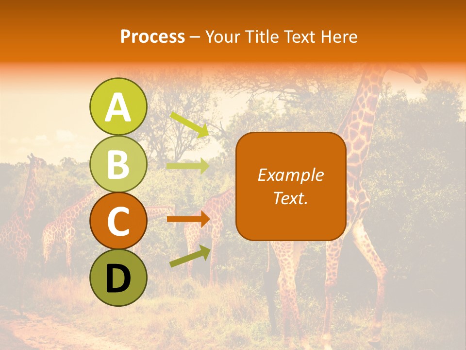 Tourism Grass Kruger PowerPoint Template