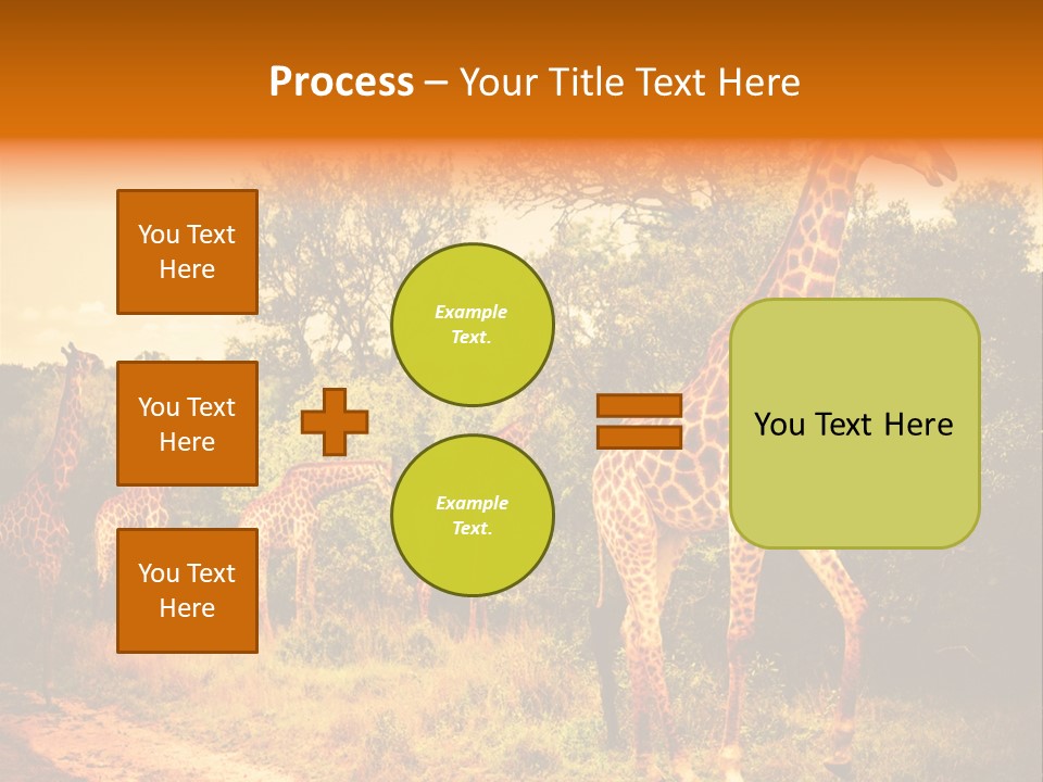 Tourism Grass Kruger PowerPoint Template
